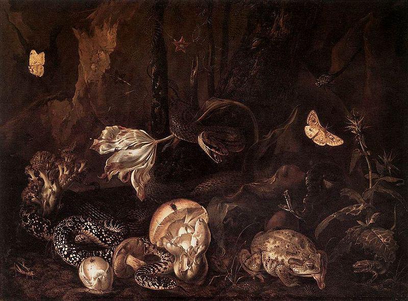 Otto Marseus van Schrieck Still life with Insects and Amphibians oil painting image